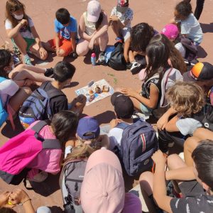 visite scolaire visite contée à Marseille quartier du Panier